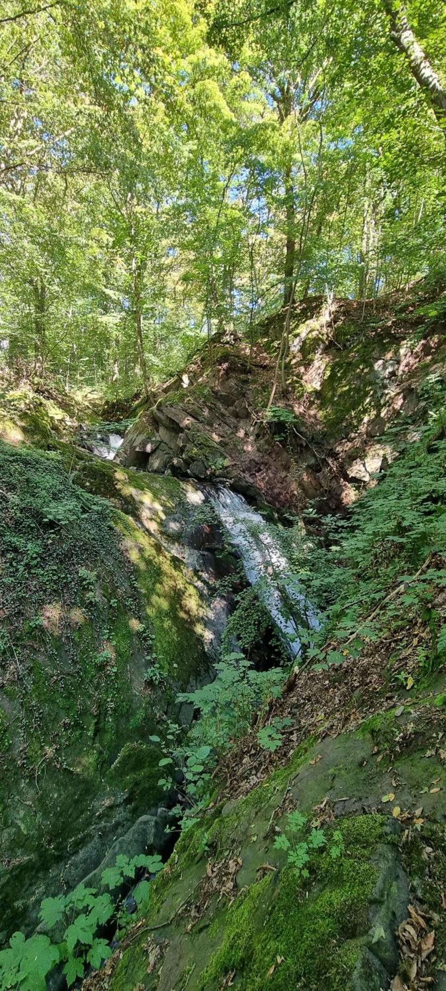 Ferienwohnung Zum Hirschen Herzberg am Harz Eksteriør billede