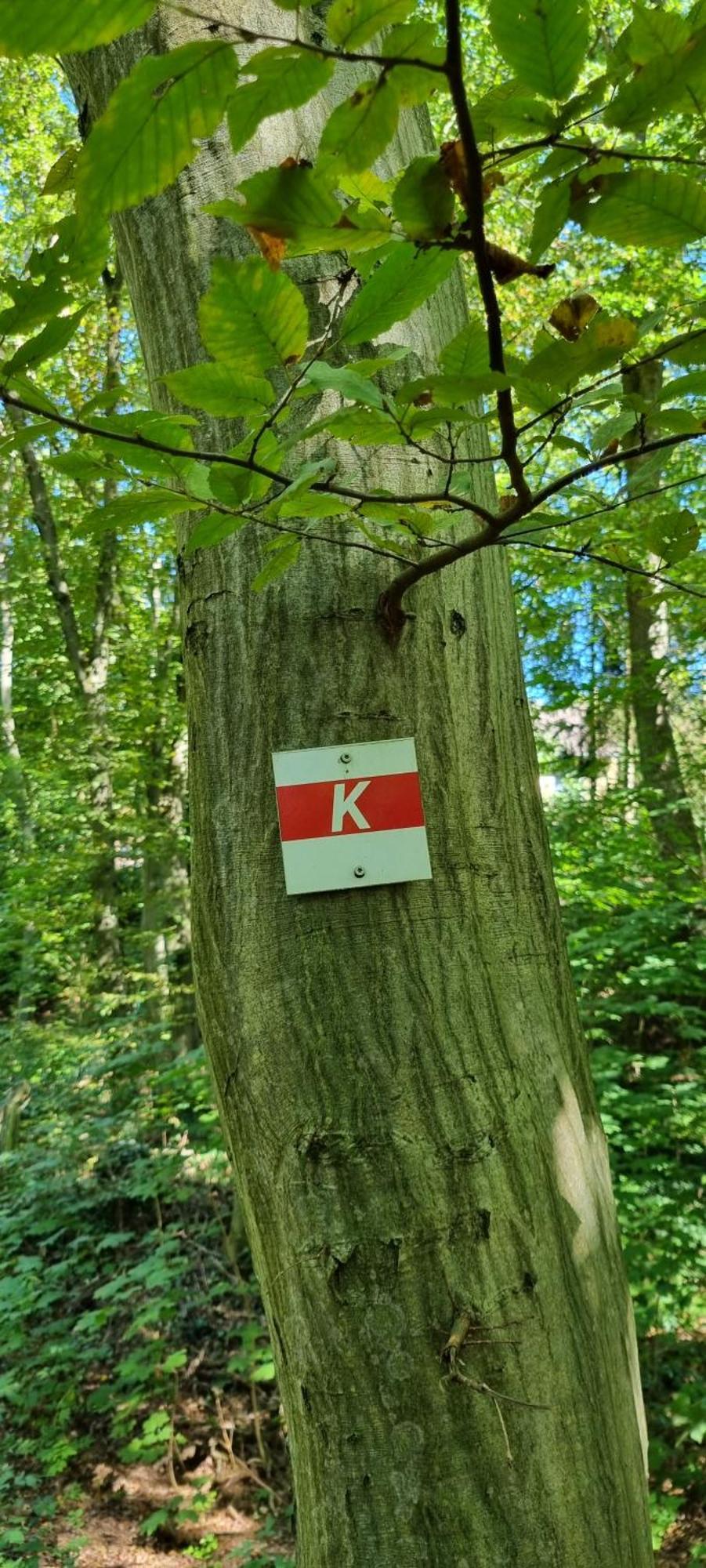 Ferienwohnung Zum Hirschen Herzberg am Harz Eksteriør billede